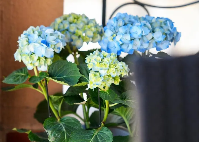 Our Happy Place Maisonette 펜션 *